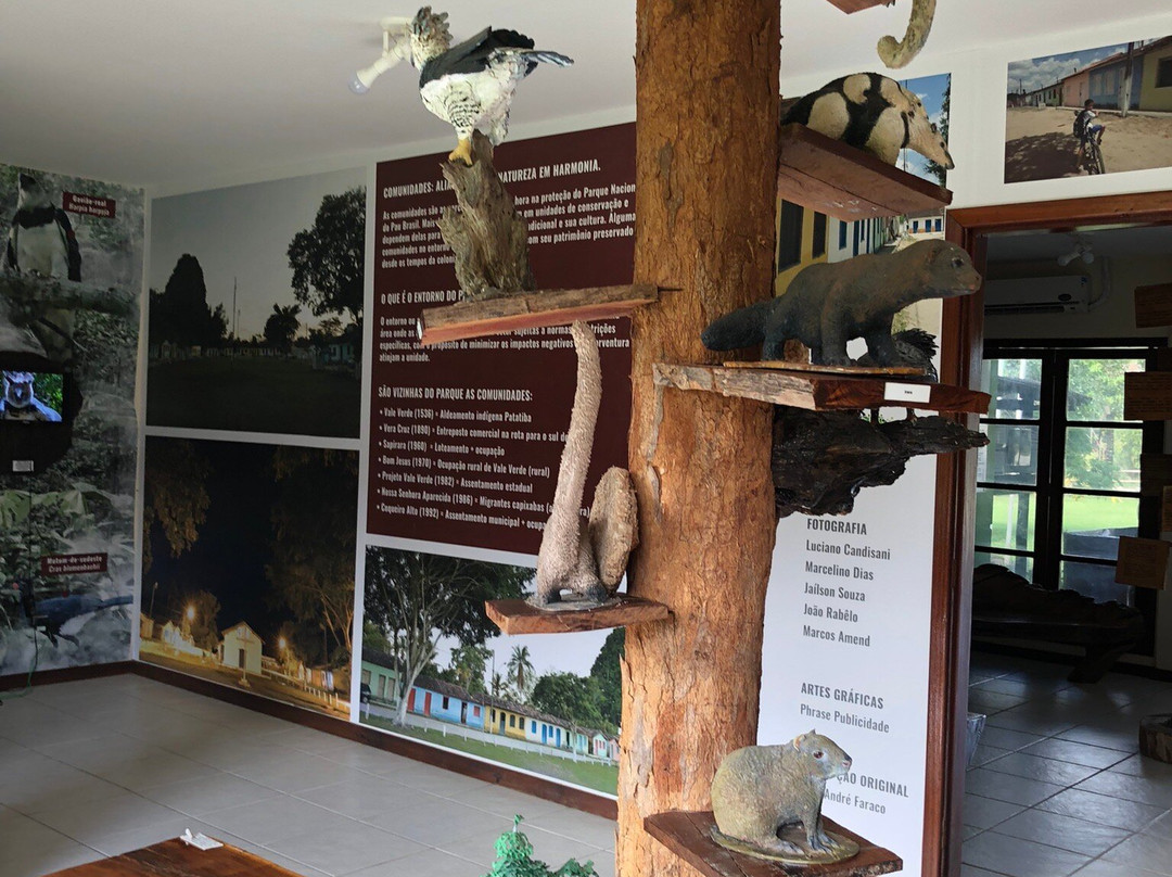 Parque Nacional do Pau Brasil-Porto Seguro必去景点