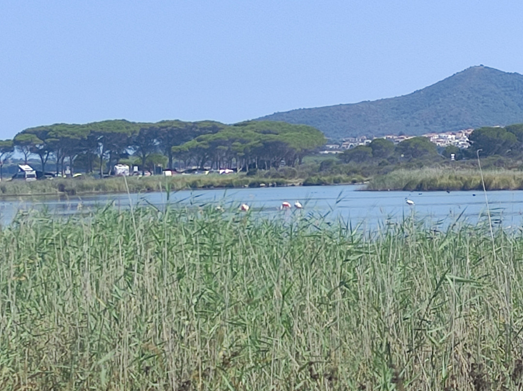 Futura Club Cala Fiorita主图