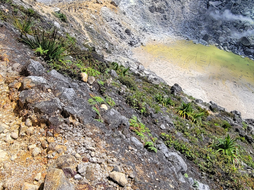 PT Enos Tour Medan-棉兰必去景点