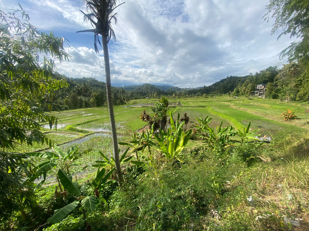 Bali Decouverte-登巴萨必去景点