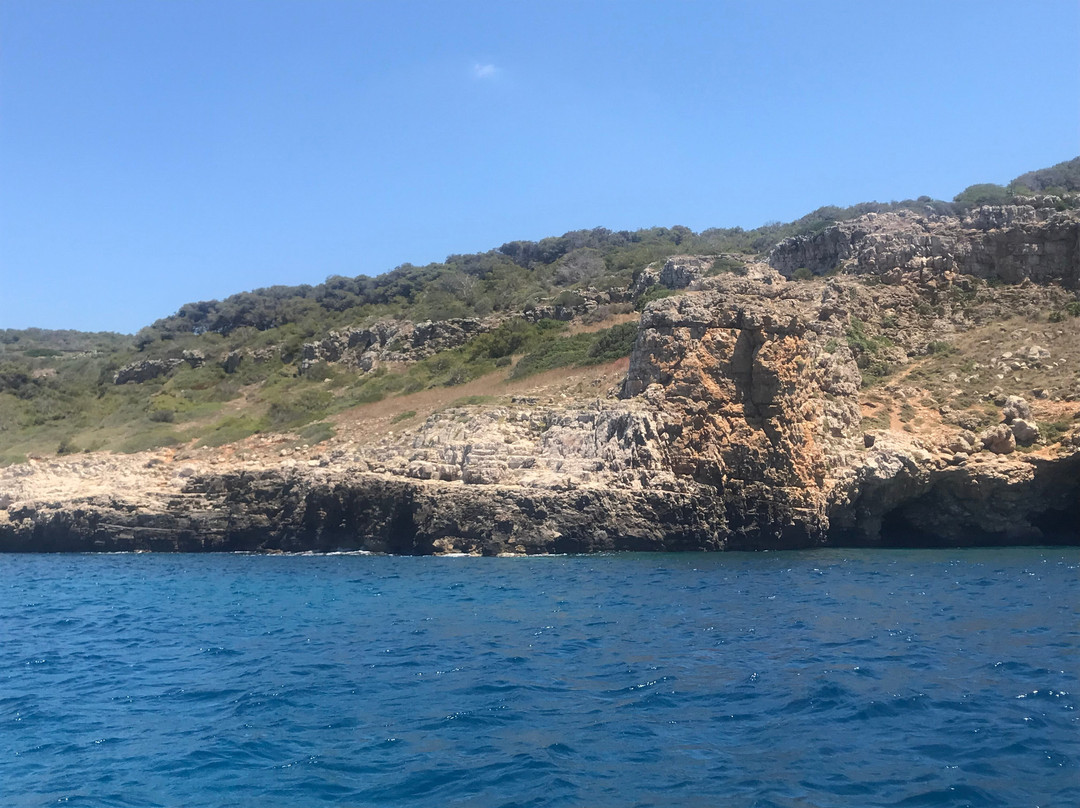 Centro Educazione Ambientale Porto Cesareo-切萨雷奥港必去景点