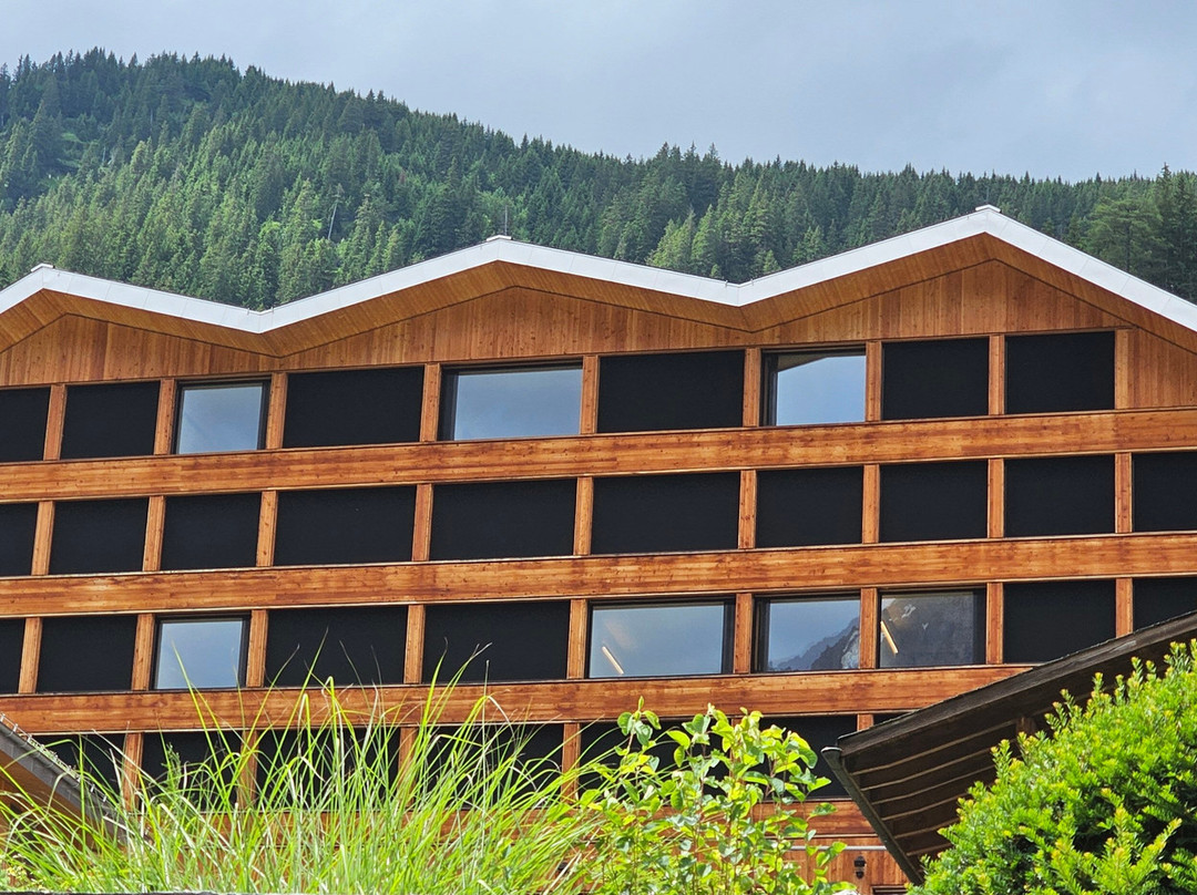 Revier Mountain Lodge Adelboden主图