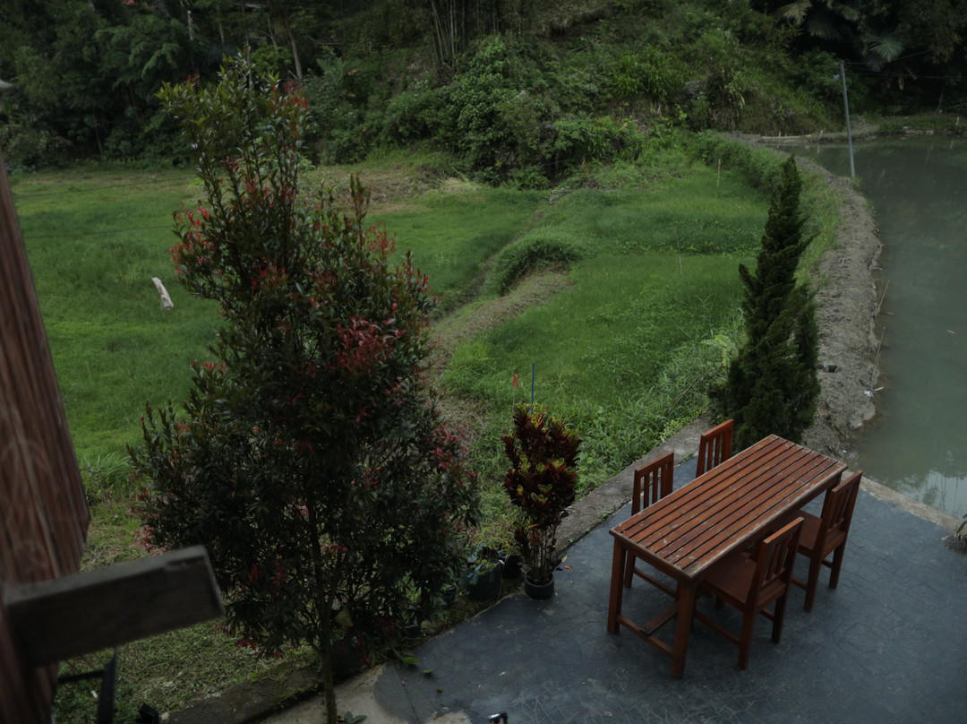 Mama Tia Homestay主图