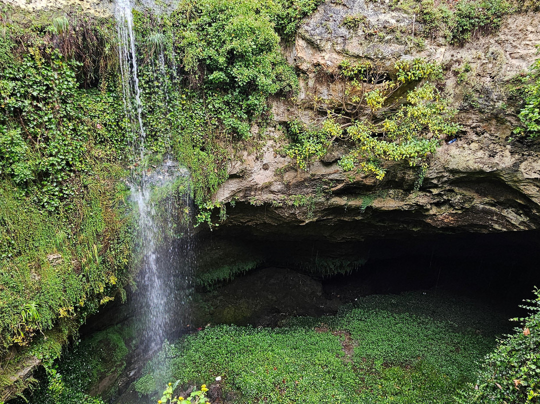 Cave Garden/thugi景点图片