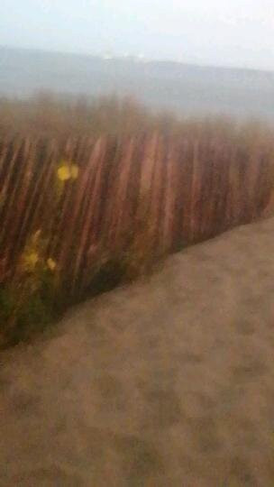 Les Buissonnets主图