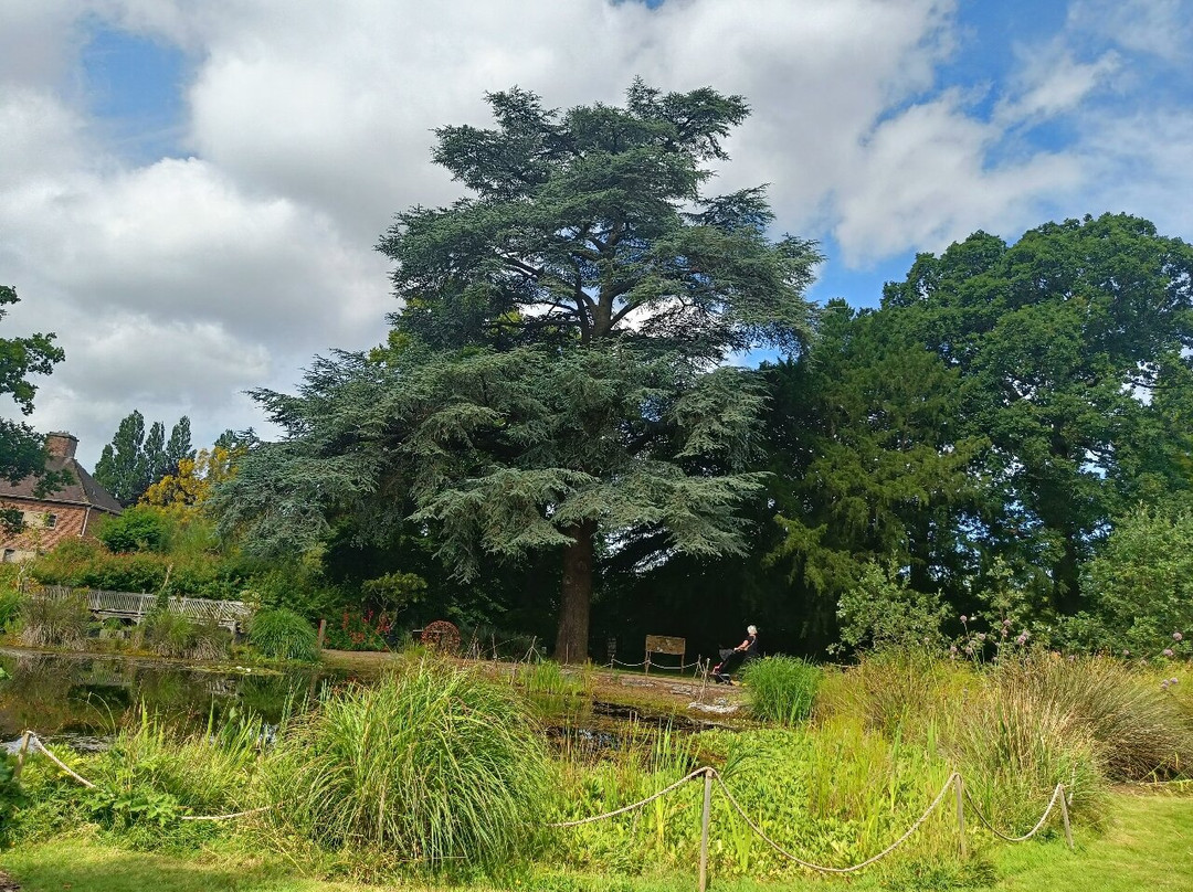 University of Bristol Botanic Garden-布里斯托尔必去景点