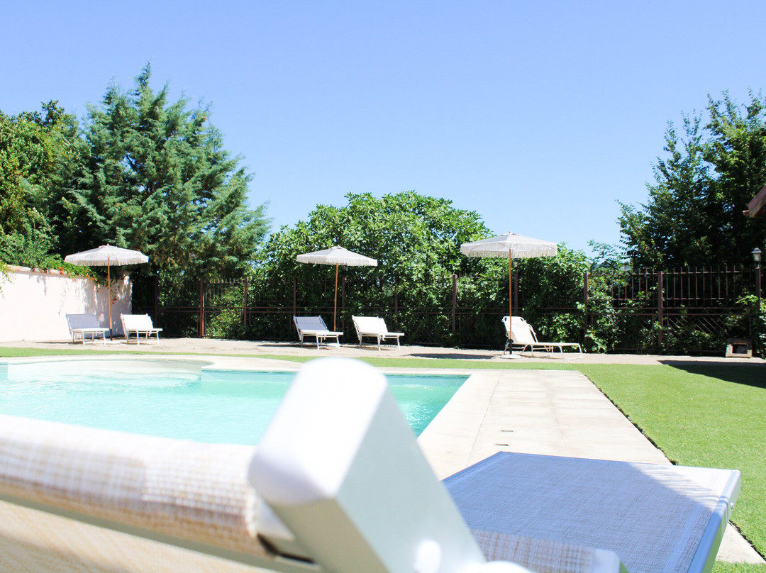 The Olive Tree B&b