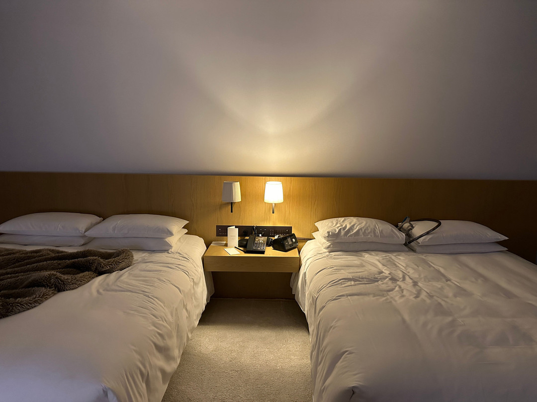 The Tokyo EDITION, Toranomon主图