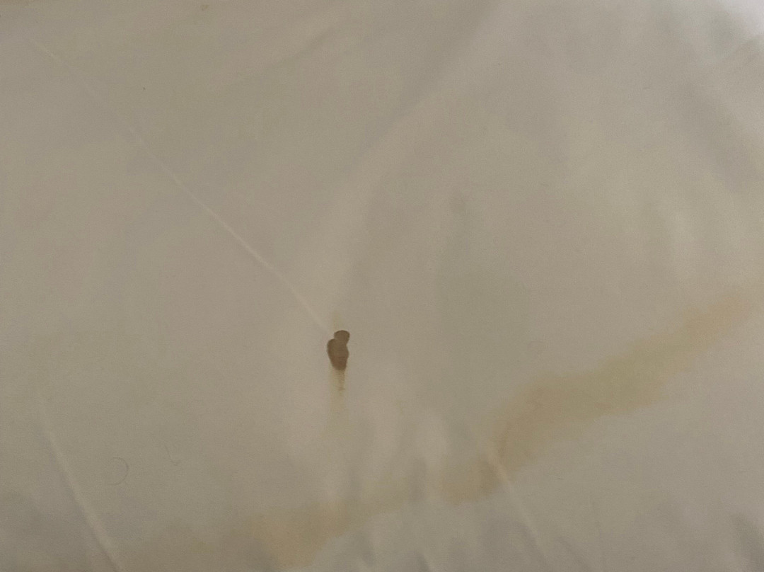 贝斯特韦斯特亚历山德里亚酒店主图