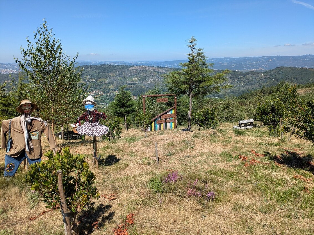Bosque dos Avós景点图片