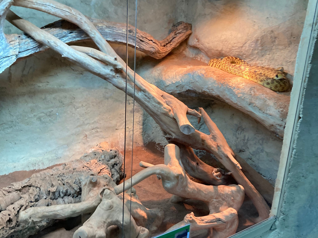 Isle of Wight Reptilarium-雅茅斯必去景点