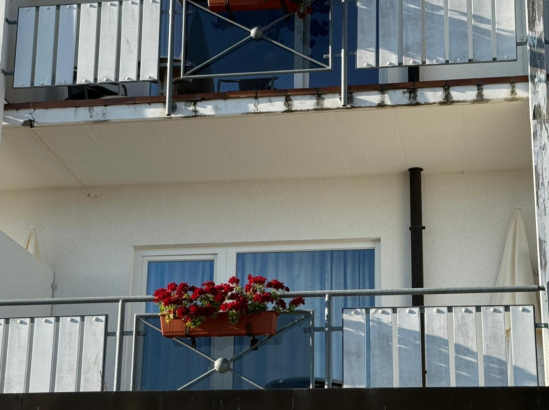 JUFA Hotel Schwarzwald主图