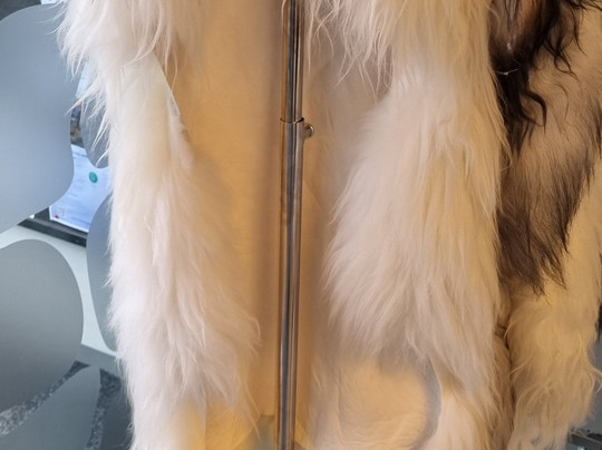 Visit Torshavn-托沙文必去景点