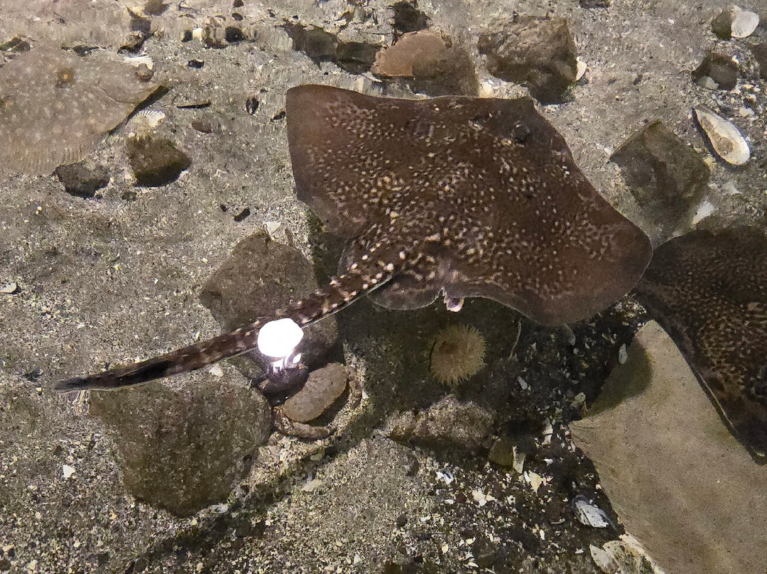 Føroya Sjósavn-Argir必去景点