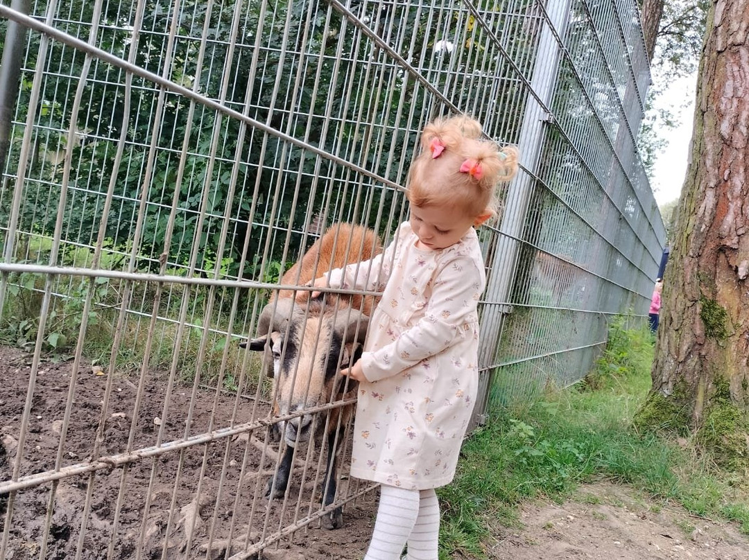 Natur- und Tierpark Brüggen景点图片