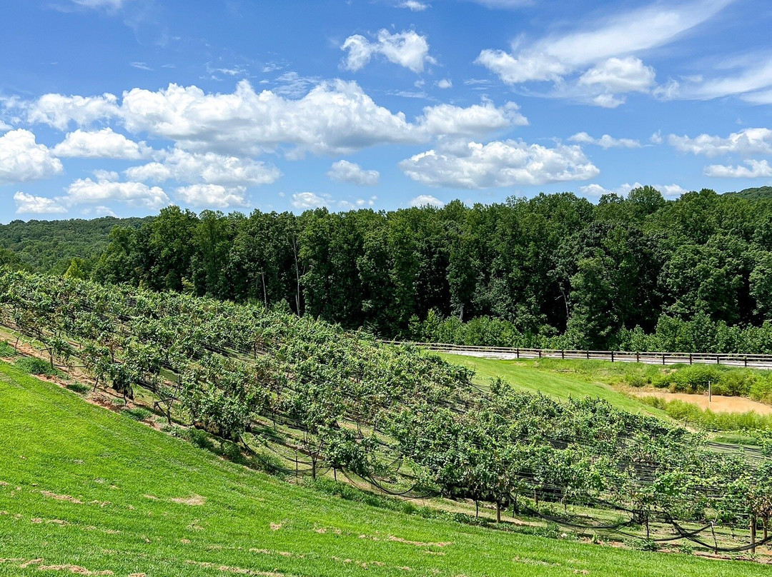 Cottage Vineyard and Winery景点图片
