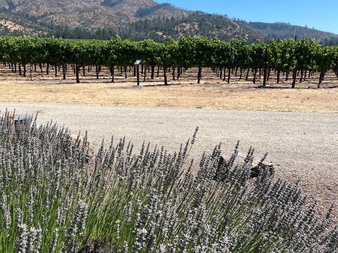 St. Francis Winery and Vineyards景点图片