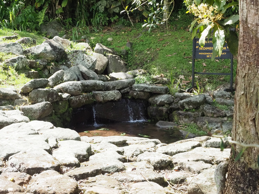 Guayabo National Monument景点图片