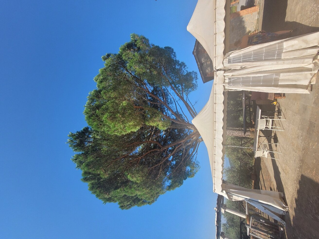 I Sette Borghi B&B主图