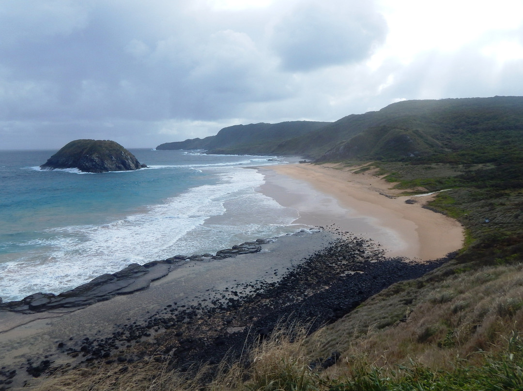 Leao Beach-费尔南多-迪诺罗尼亚群岛必去景点