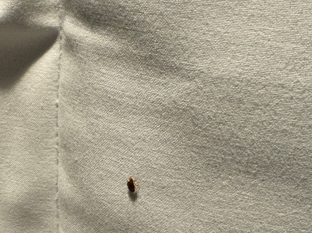 The Poet Hotel主图