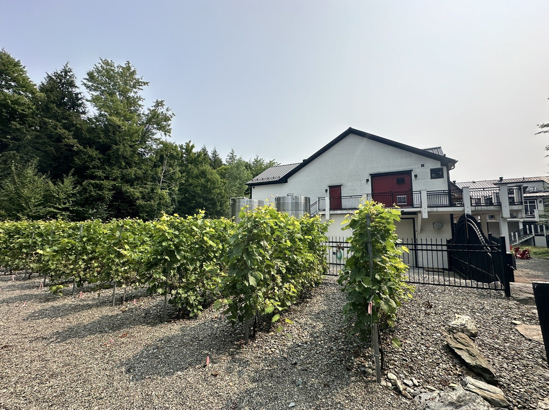 Le Vignoble du Ruisseau-Dunham必去景点