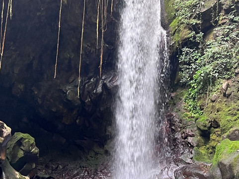 Plate Transfer and Tour-利比里亚必去景点