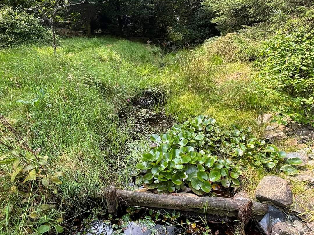 Bwlch y Geuffordd Gardens景点图片