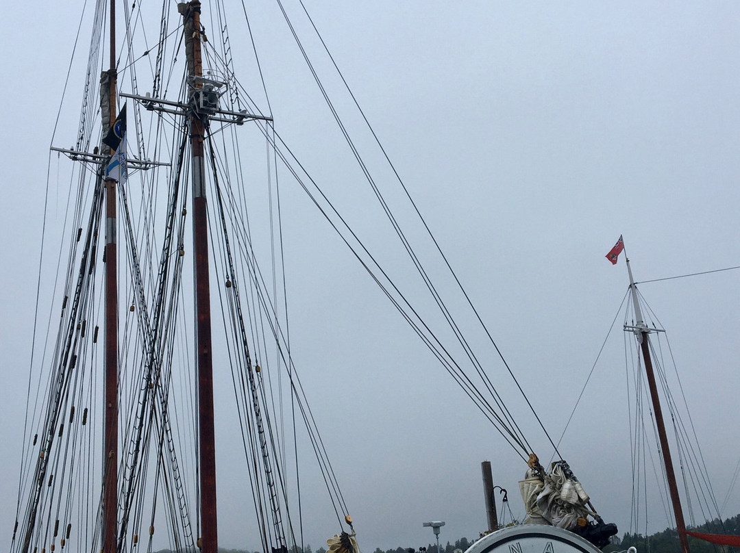 Supernova Tours Inc.-哈利法克斯必去景点