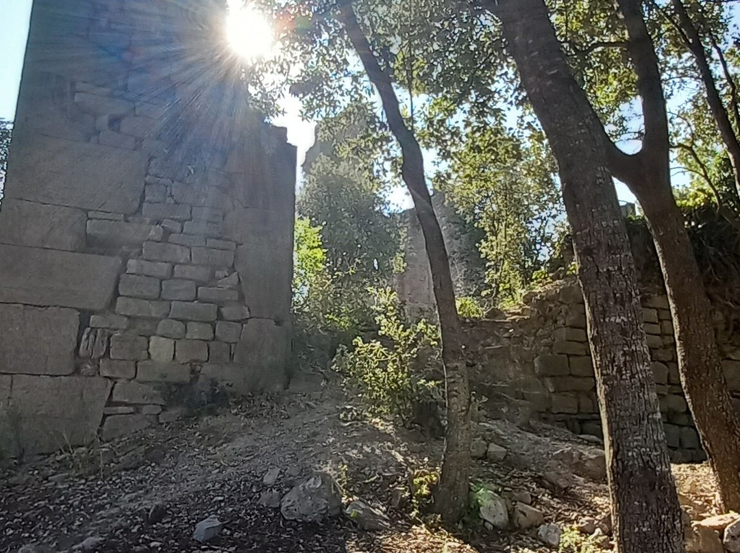 Chateau de Valbelle景点图片