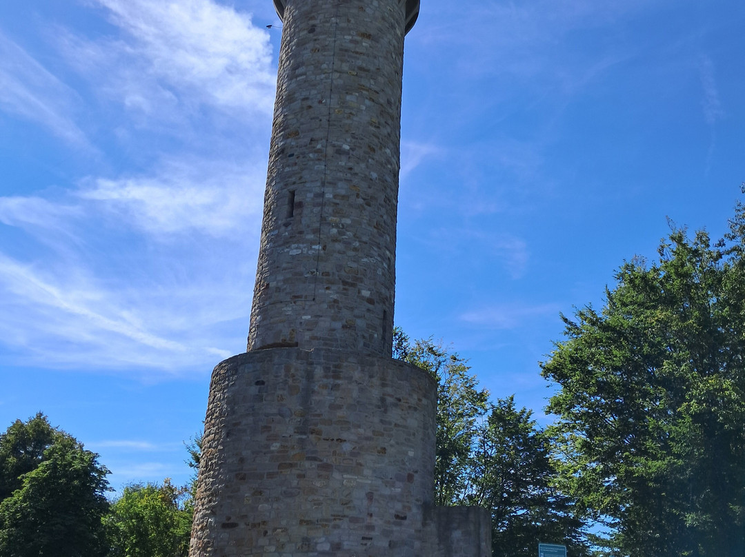 Wartbergturm景点图片