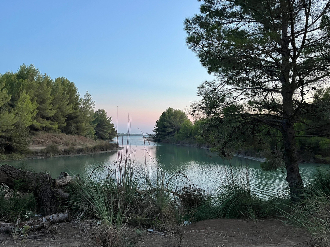 Laguna e Karavastasë-Divjake必去景点