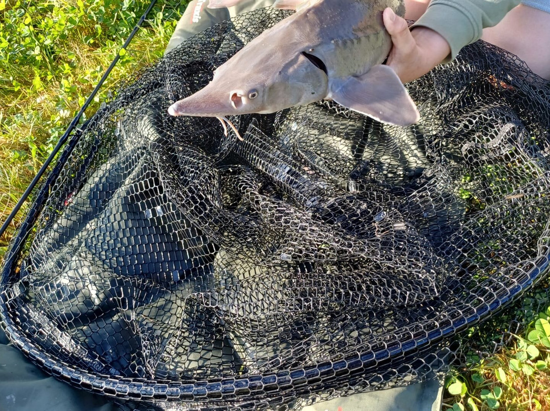 Fish Fun Vrouwenpolder景点图片