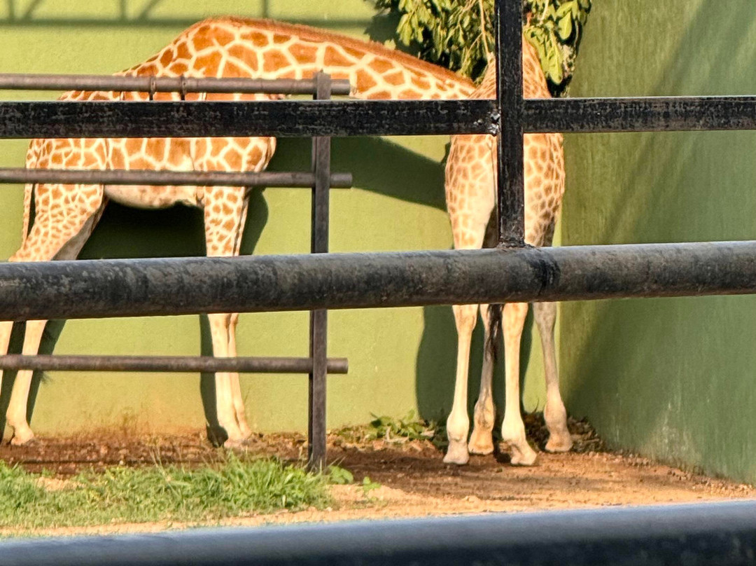 Atal Bihari Vajapayee Zoological Park-Kamalapur必去景点