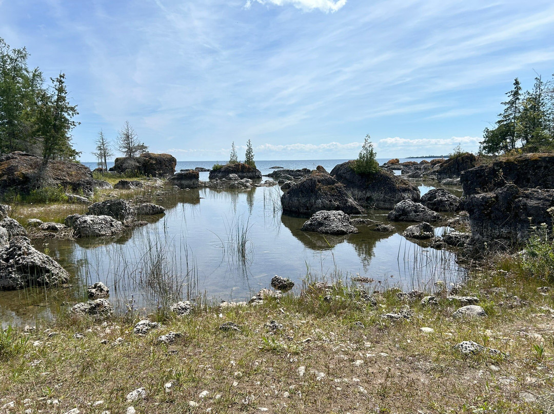 Bush Bay Trail Narnia Trail景点图片