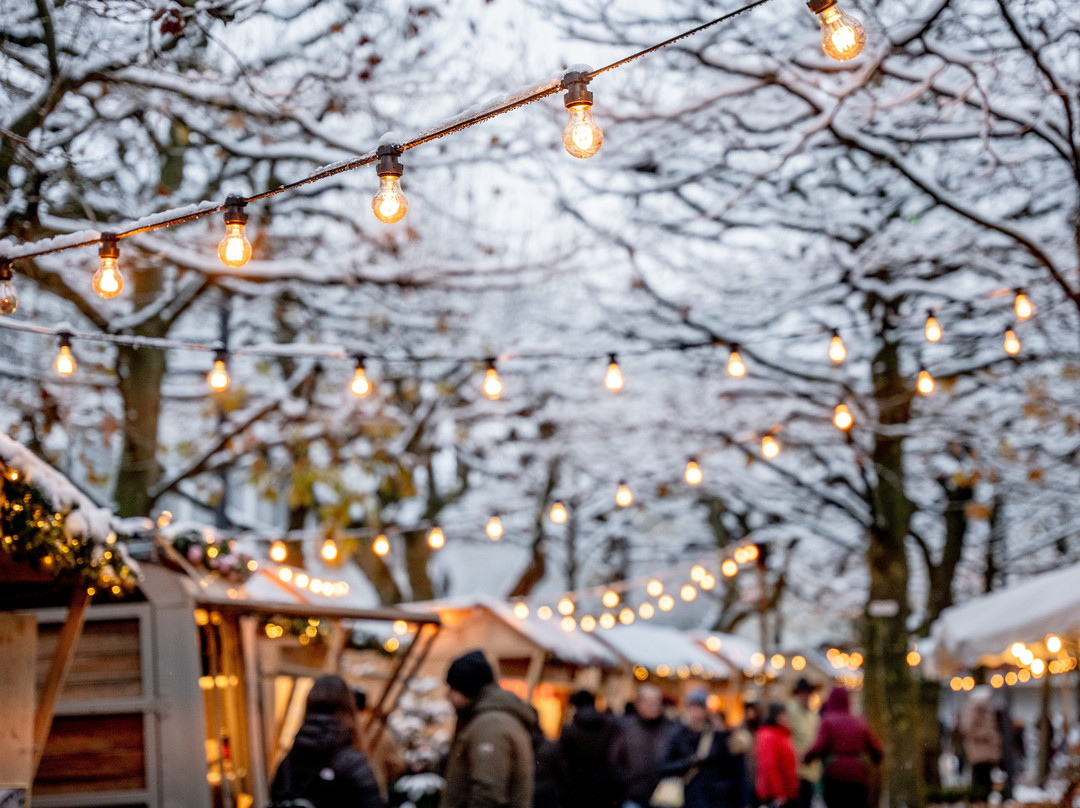 Weihnachtsmarkt Aarau-Aarau必去景点