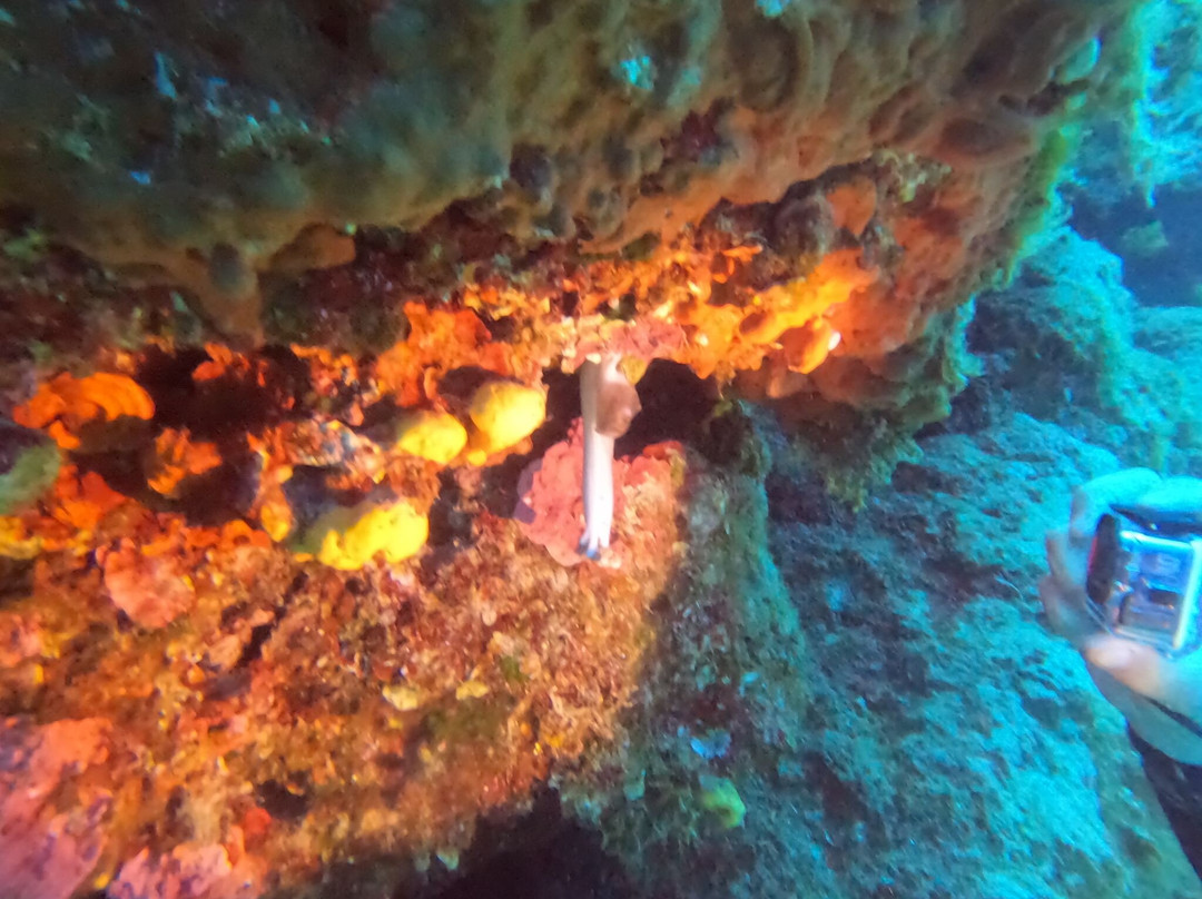 Kisamos Diving Center景点图片