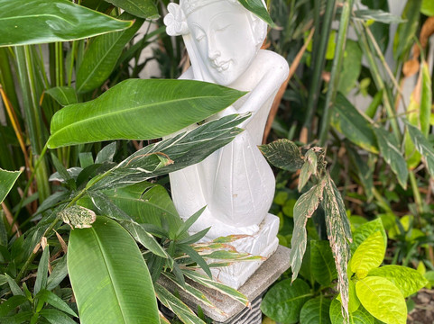 巴厘岛朵帕蒂别墅主图