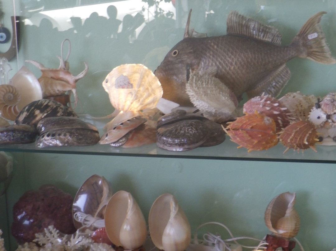 Cretan Flavor-Agios Nikolaos必去景点