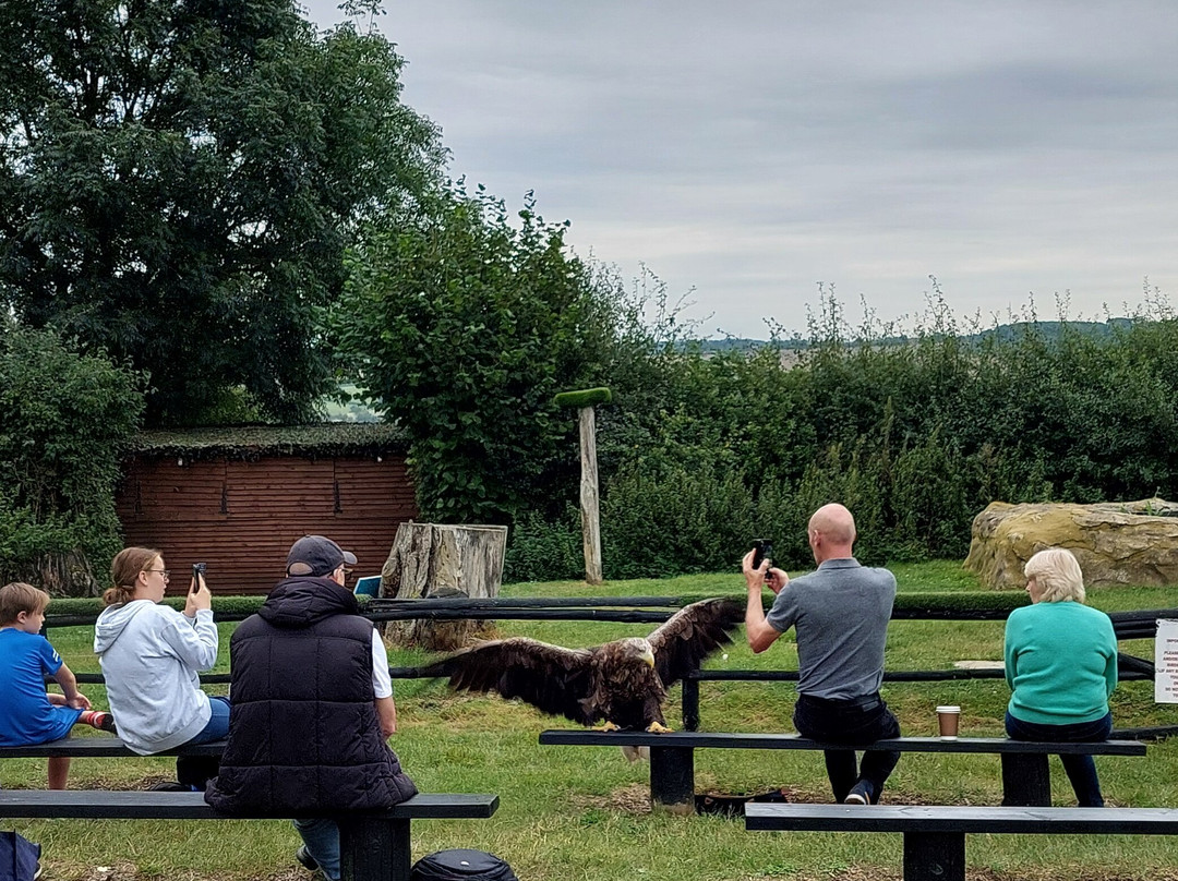 Eagle Heights Wildlife Foundation景点图片