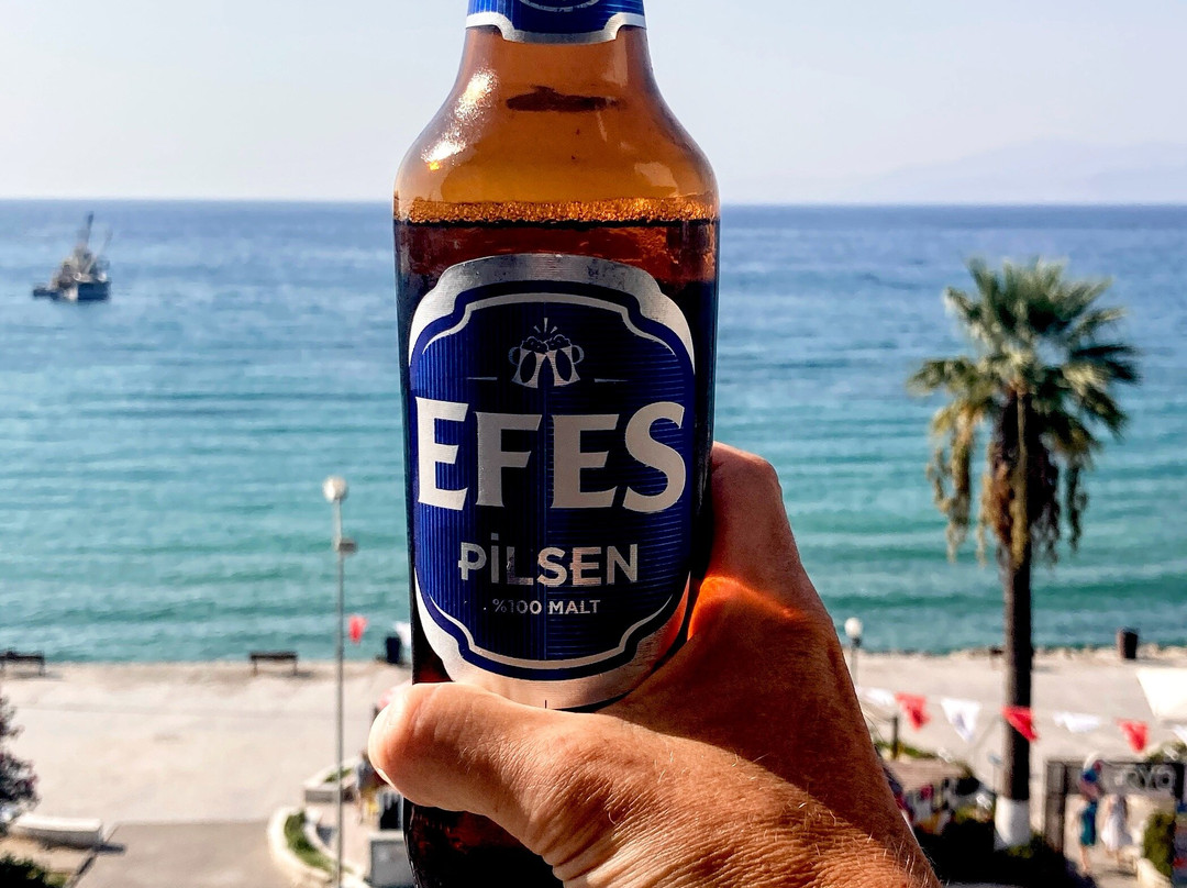 德里奇酒店主图