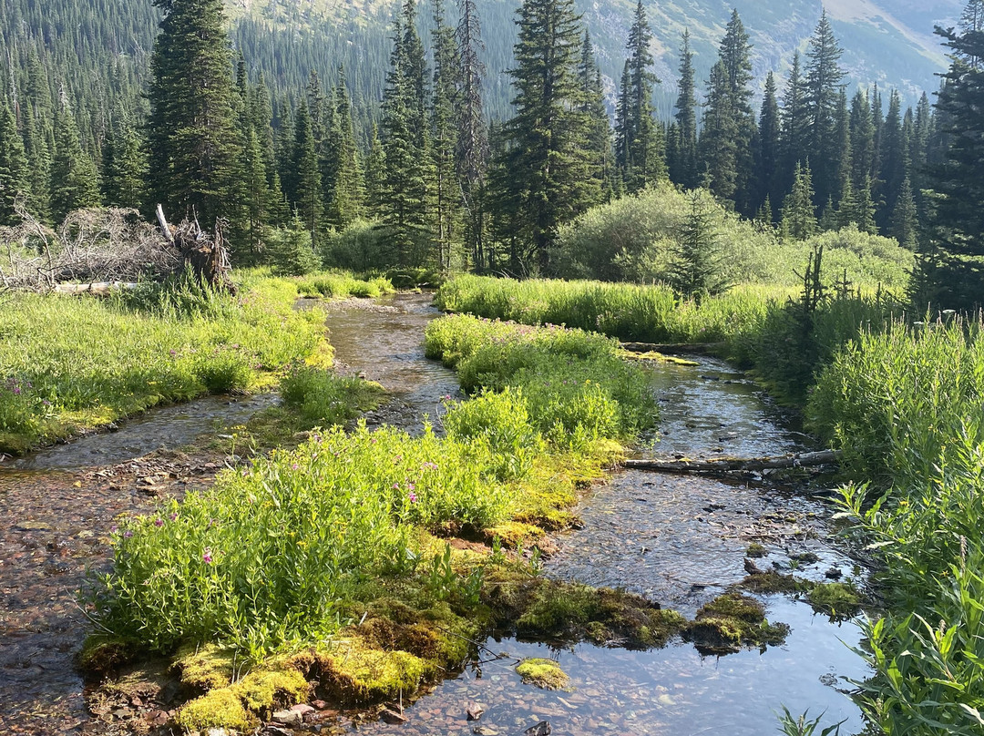 Tamarack Adventures景点图片