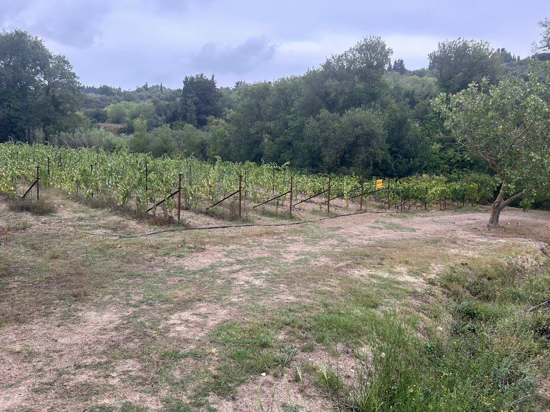 Haritatos Vineyard-Lixouri必去景点