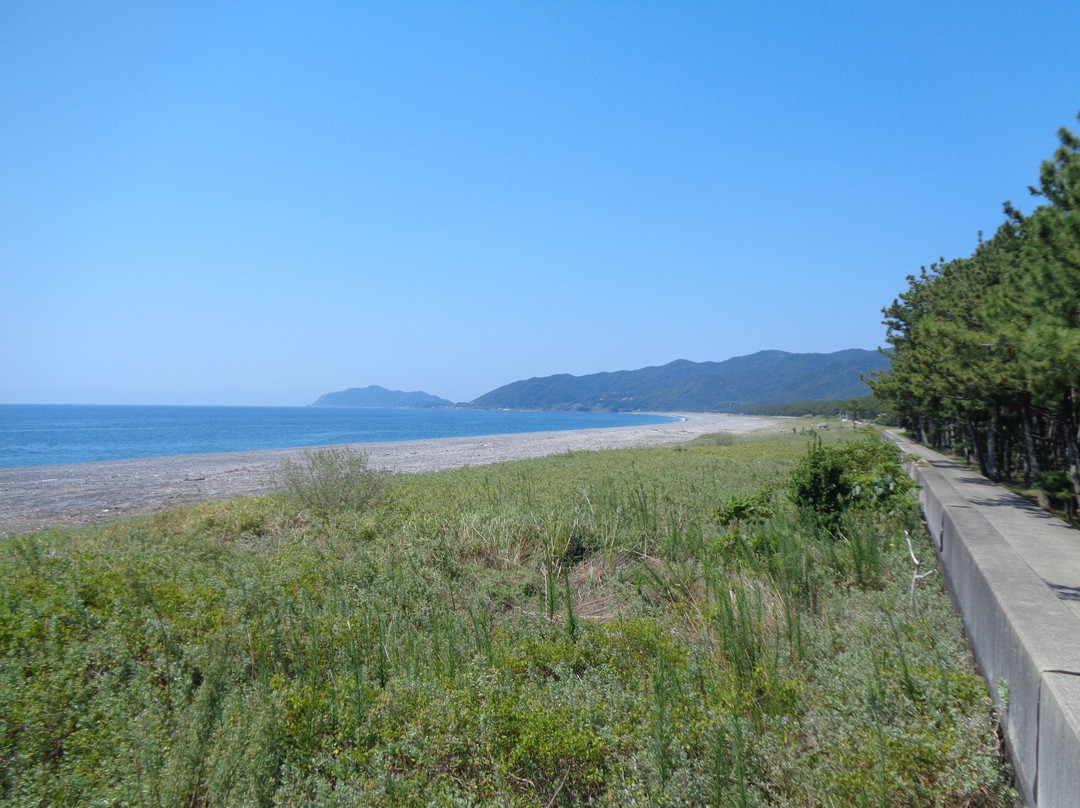 Enjugahama-美滨町必去景点