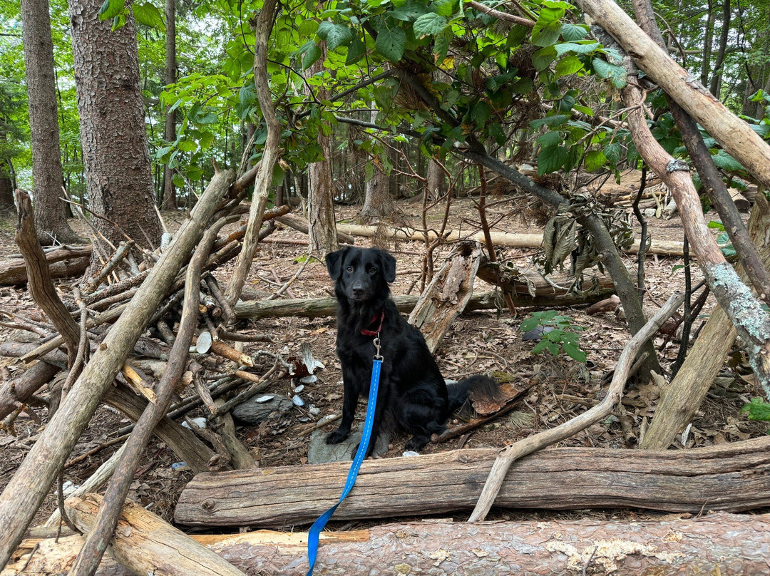 Mackworth Island State Park景点图片