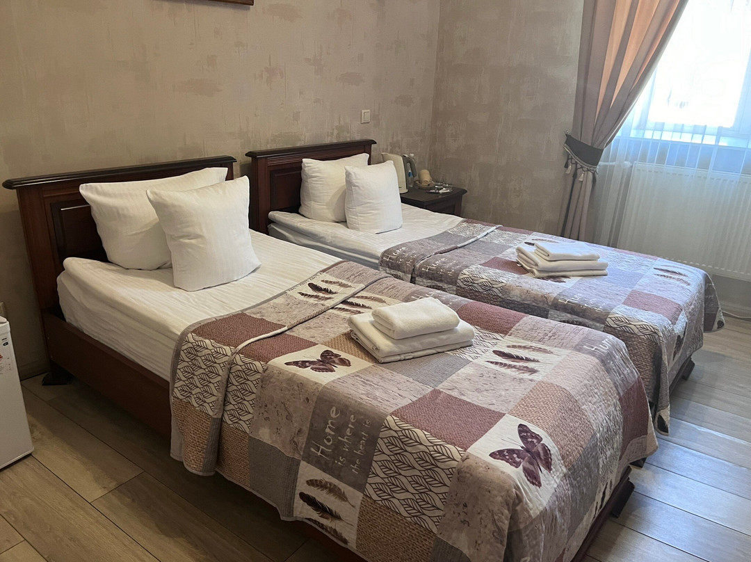 Centralnyi Hotel主图