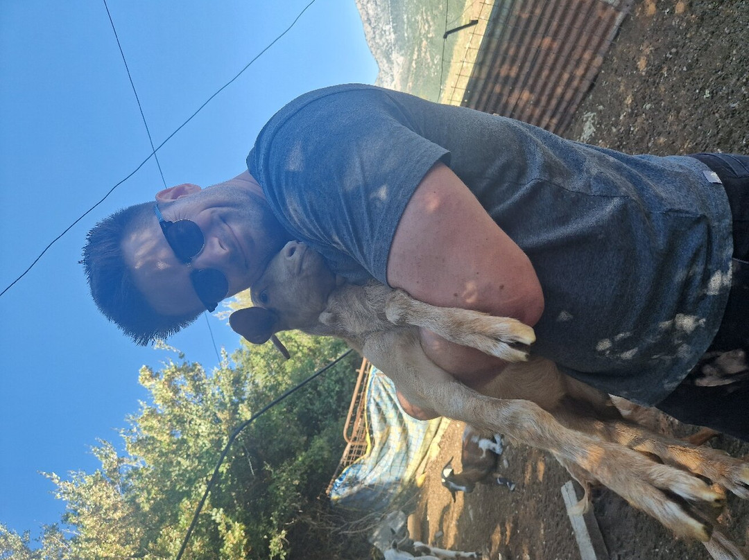 Sofie's Goat Farm-Argos必去景点