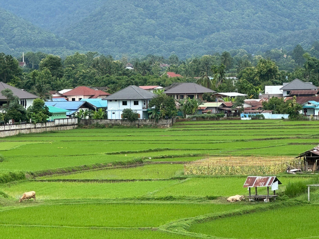 Wat Phuket景点图片