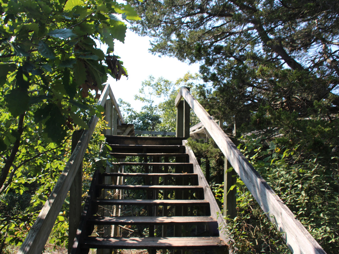 Pinery Provincial Park-Grand Bend必去景点