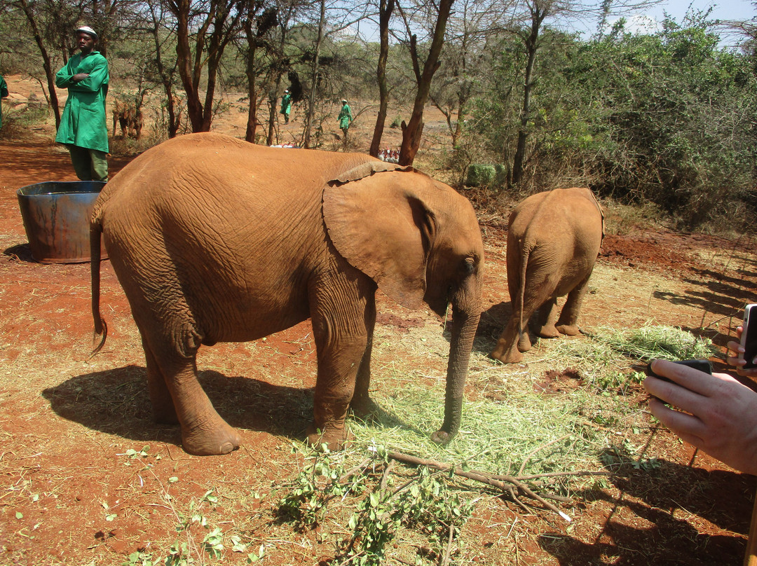 HIDAYA AFRICA TOURS AND TRAVEL-纳库鲁必去景点